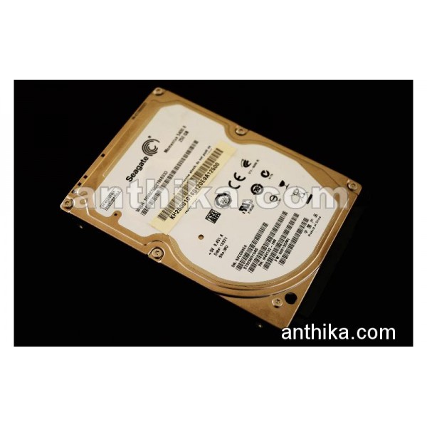 Seagate 250 GB Harddisk