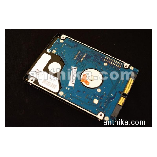 Seagate 250 GB Harddisk